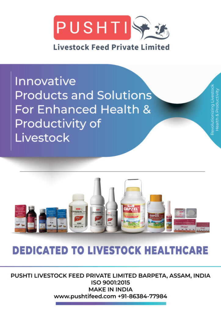 Innovative Products and Solutions