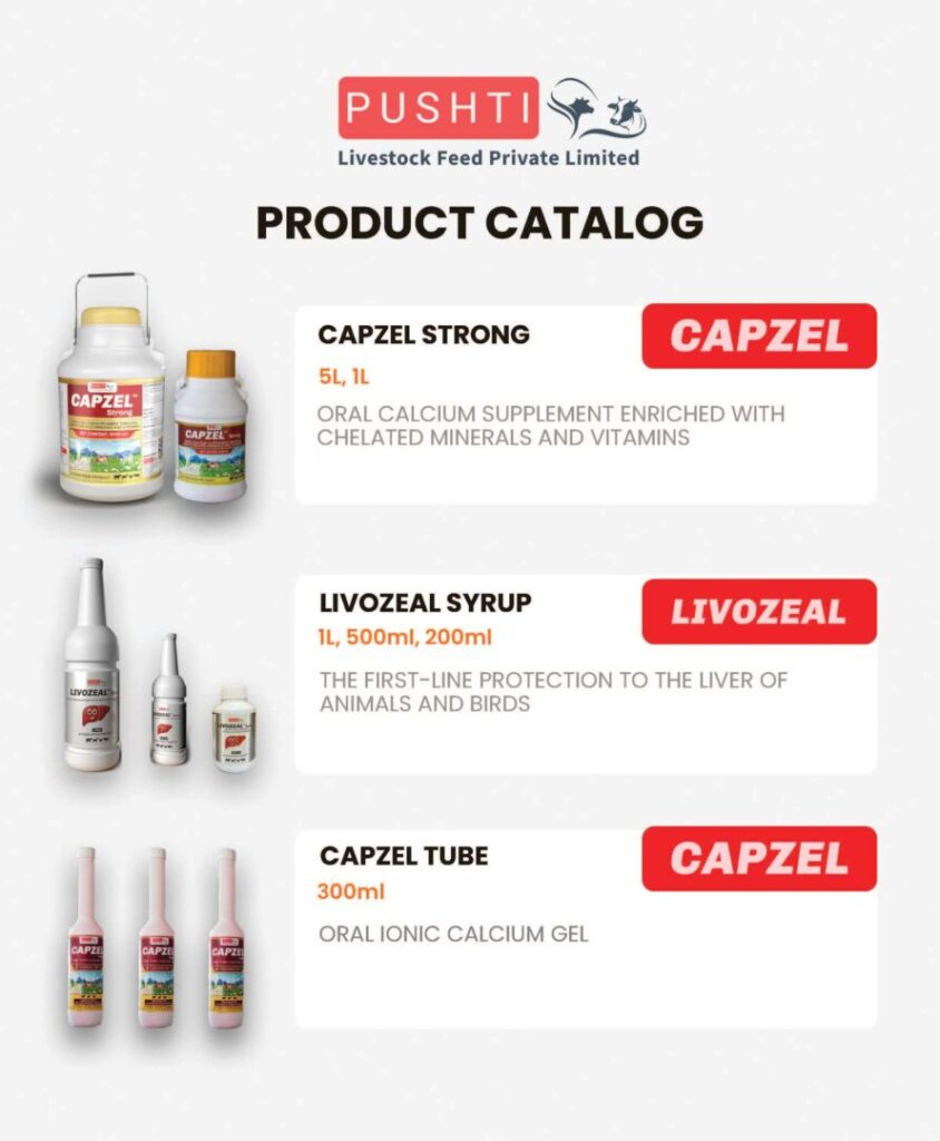 Product Catalog_Page_1