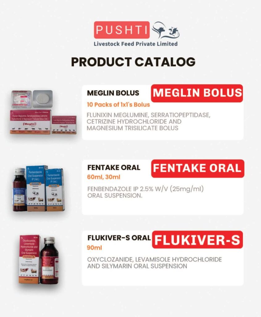 Product Catalog_Page_2
